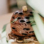 Aroma Pod Diffuser | Banksia | Medium Aroma Pod Diffuser | Banksia | Medium